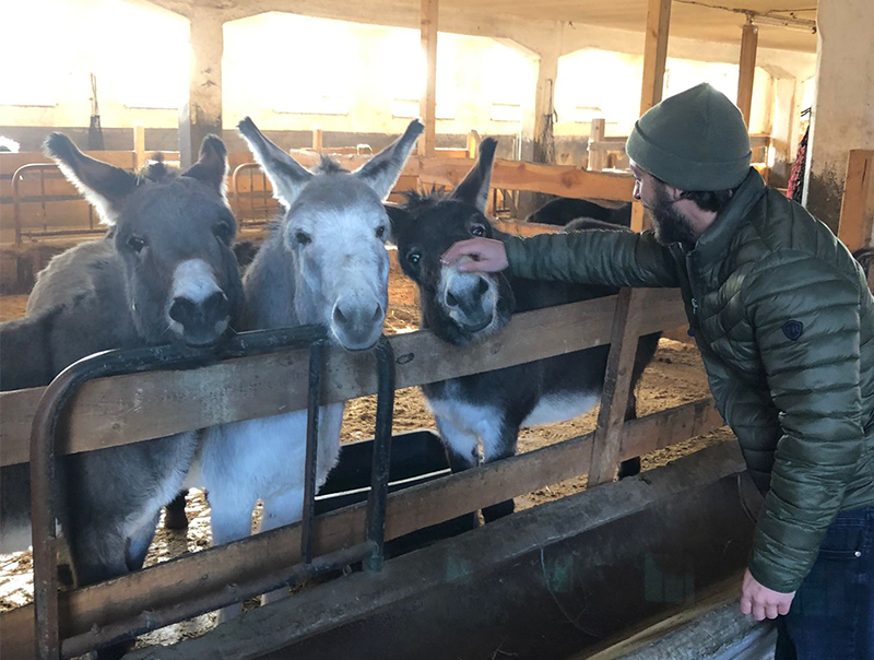 Besuch bei Fridolin 1 Abteilungsleiter Johannes Kreß streichelt die Esel des Gnadenhofs, der den Erlös der Weihnachtstombola für Unterhaltkosten bekommen hat.